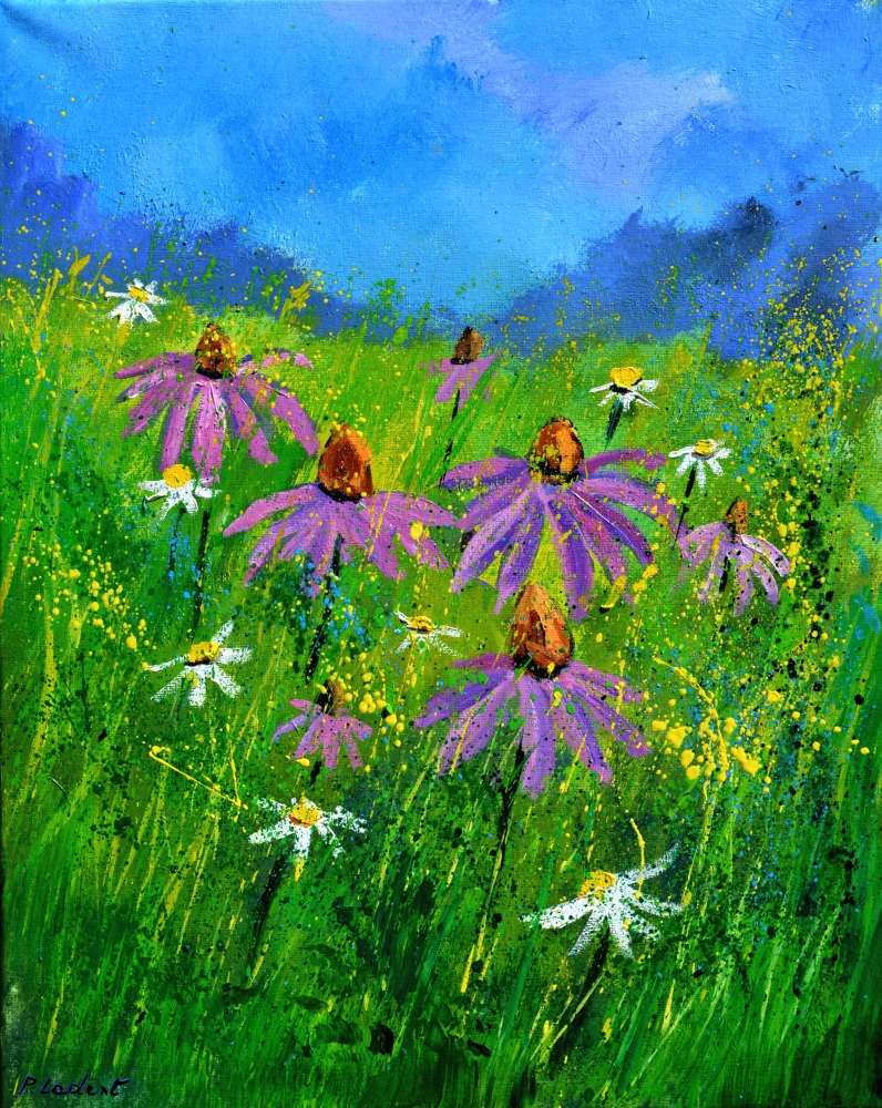Rudbeckias 