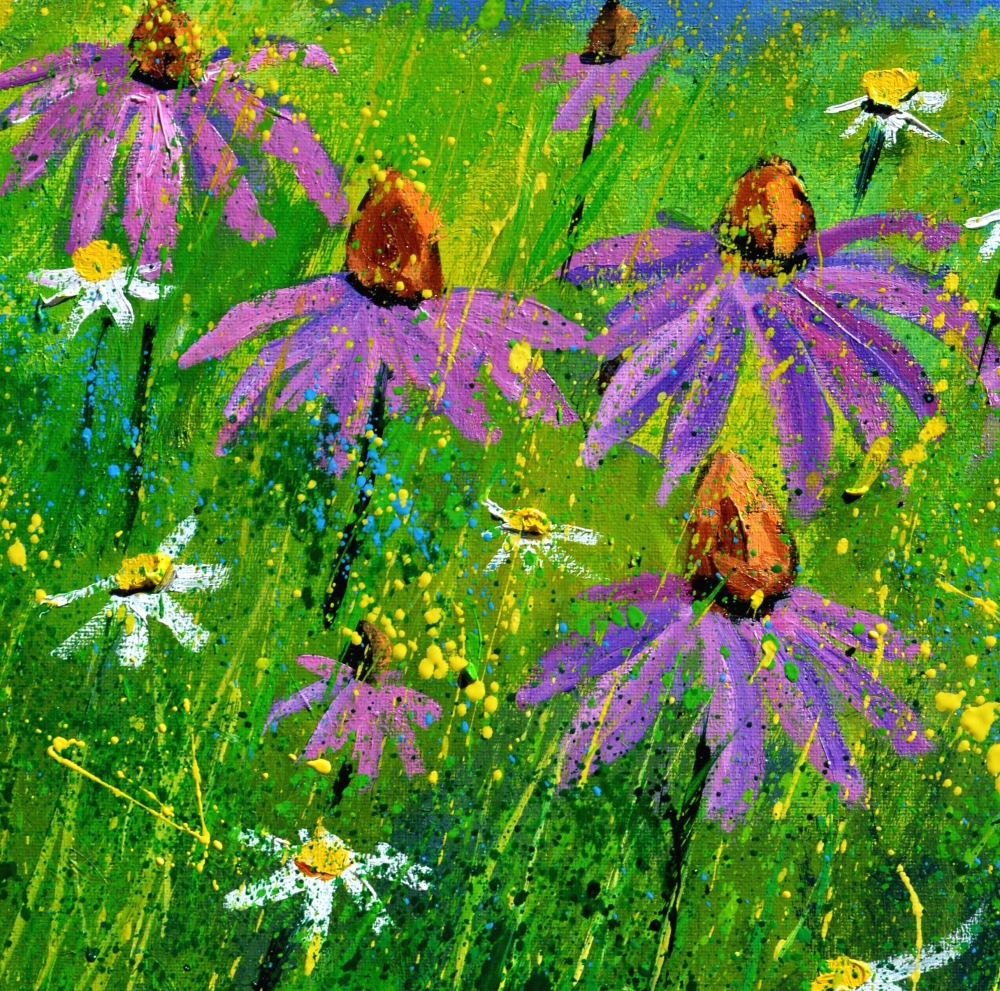 Rudbeckias 