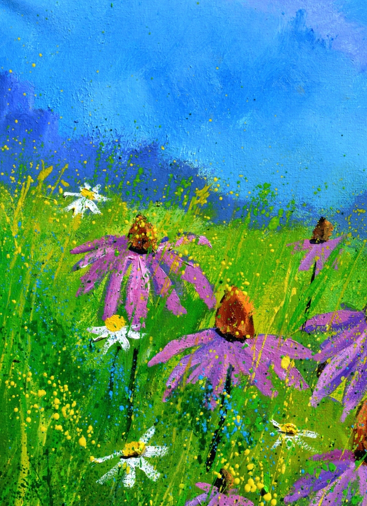 Rudbeckias 