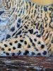 Golden Leopard 