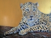 Golden Leopard 