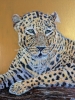 Golden Leopard 