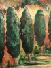 Conspiratorial Cypresses