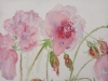 Growing Gracefully
