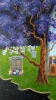 Life and death