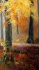 Autumn Colour 