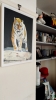 Tiger, tiger