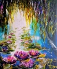 Water lilies 