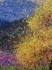 Fragments of Unseen Happiness
