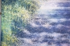 Summer Forest Path