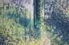 Summer Forest Path