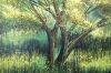 Tree In Summer