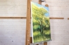 Tree In Summer