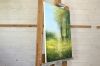 Forest Edge Summer Trees