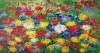 Beautiful Flower Field L 1