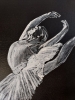 Ballerine