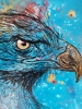 Aigle cosmique