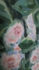 Multiflora Rose No. 1