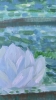 Victorian Water Lily