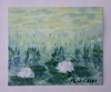 Pink Water Lilies