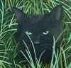 Cat In The Grass