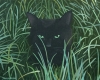 Cat In The Grass