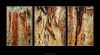 Three Pieces Of Tree bark Panorama
