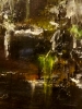Tears in night, 