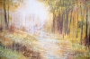 Autumn Forest Trees #1