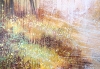 Autumn Forest Trees #1