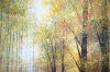Autumn Forest Trees #2