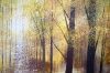Autumn Forest Trees #2