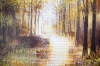 Autumn Forest Trees #3