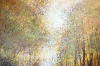 Autumn Forest Trees #3
