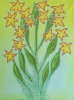 Flowers # 1