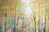 Autumn Forest Trees #4