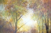 Autumn Forest Trees #5