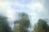 Meadow In Late Summer #3