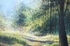 Late Summer Trees
