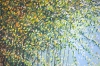 Late Summer Trees #2