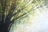 Tree In Late Summer