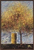 Under the Golden Canopy - Framed