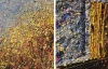 Under the Golden Canopy - Framed