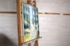 Late Summer Forest Trees #2