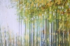 Light Through Autumn Trees