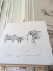 The Vanishing Herd - Tsavo