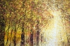 Golden Autumn Forest Path
