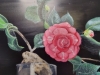 Flower in vase