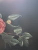 Flower in vase