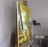 Light Through Autumn Trees